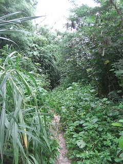 f0009451_8213124.jpg