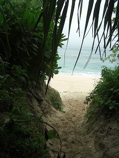 f0009451_8214519.jpg