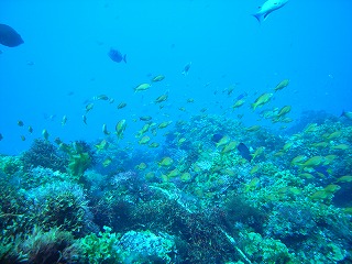 d0076952_18182537.jpg