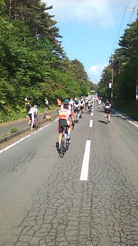 c0105957_050295.jpg