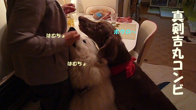 e0176159_15283769.jpg