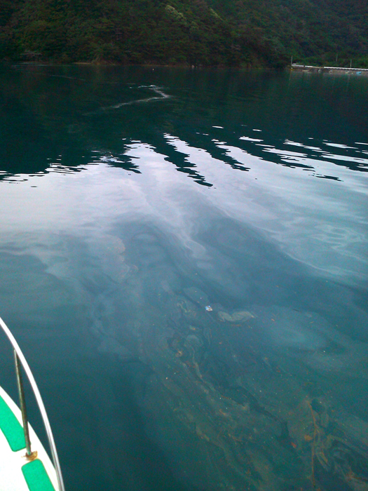 b0062363_2218576.jpg