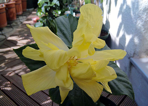 b0101263_145510100.jpg