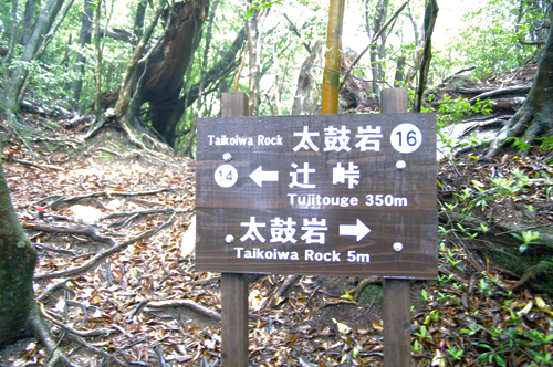 c0048265_14515464.jpg