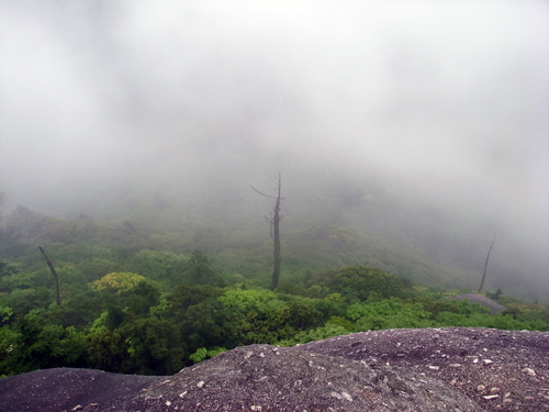 c0048265_1524958.jpg