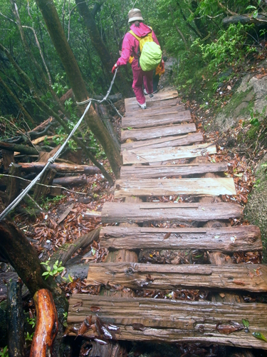 c0048265_15283221.jpg