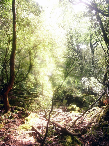 c0048265_15382430.jpg