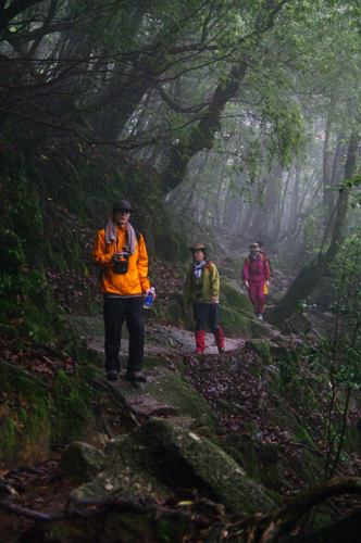 c0048265_1547244.jpg