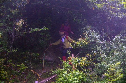 c0048265_15474989.jpg
