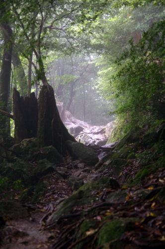 c0048265_1548196.jpg