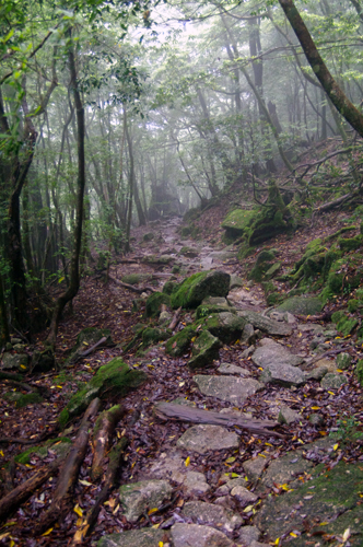 c0048265_15483170.jpg