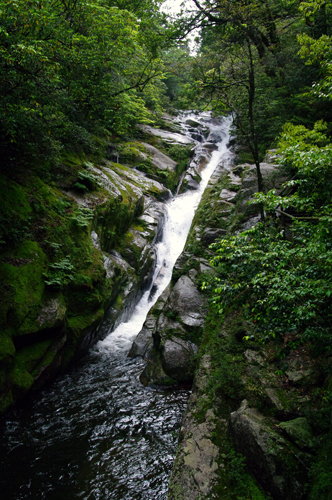 c0048265_1612661.jpg