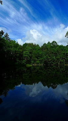 f0182173_12451176.jpg