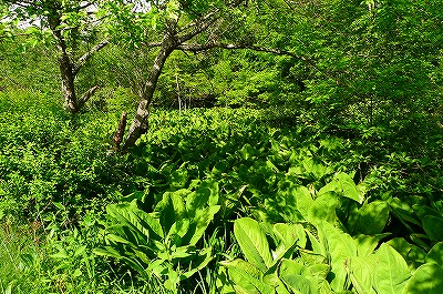 f0182173_12464454.jpg