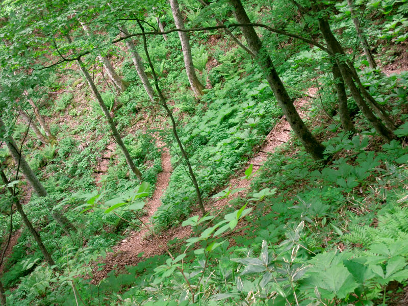 b0083779_0183567.jpg