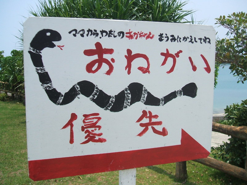 f0238779_743447.jpg