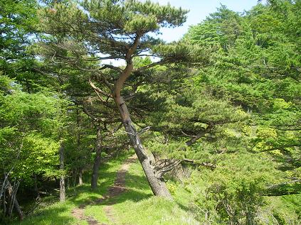 f0202990_0161.jpg
