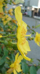 c0122791_2142173.jpg
