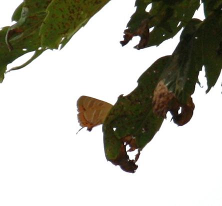 d0145794_17473363.jpg