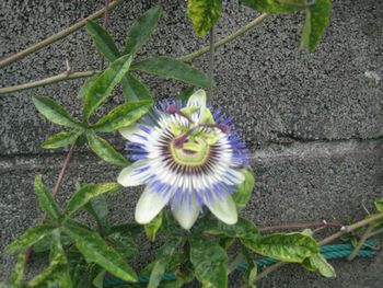 f0201297_7191642.jpg