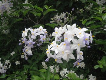 f0201297_7203294.jpg