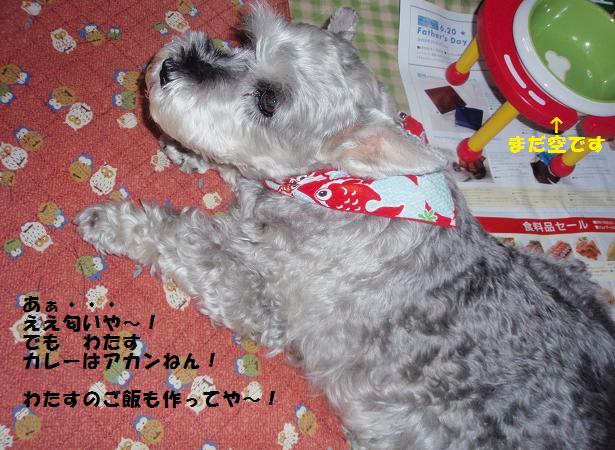 c0098501_2353023.jpg