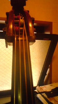 c0202101_1440588.jpg