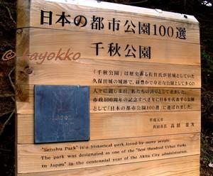 e0007801_1454251.jpg