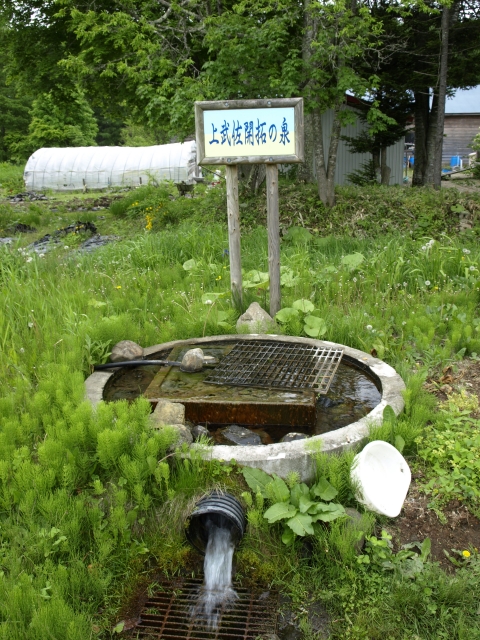 f0020302_210792.jpg