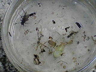 f0164503_20593668.jpg