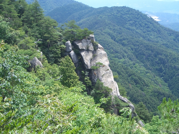 c0197004_1727866.jpg