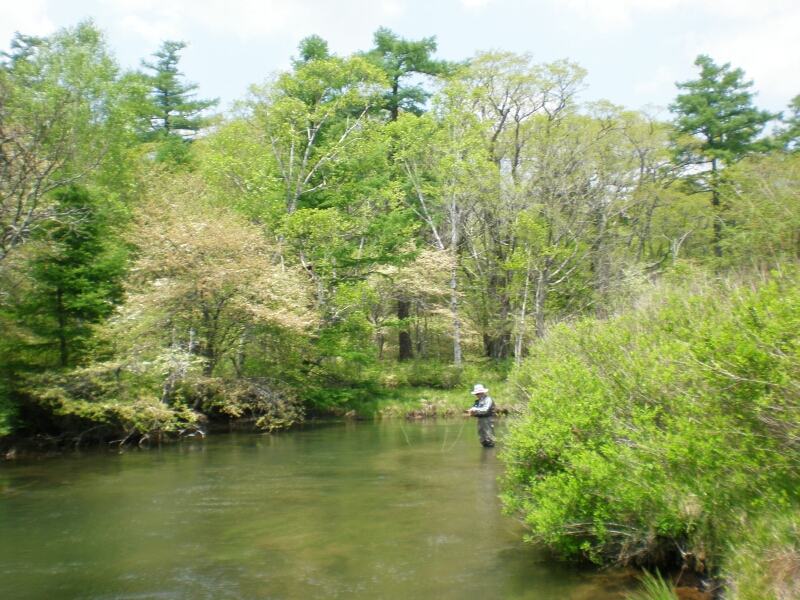 b0172805_1484271.jpg