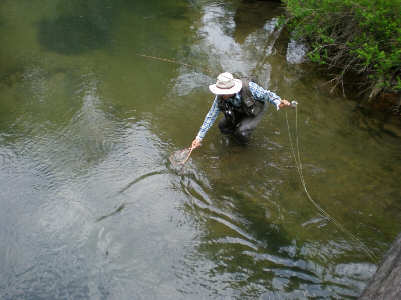 b0172805_1505527.jpg