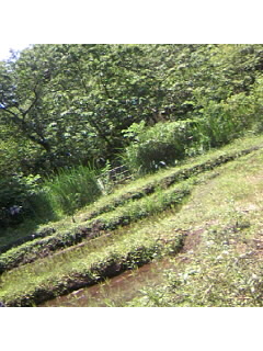 f0009509_18385938.jpg
