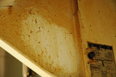 f0000211_212515.jpg