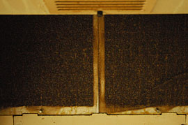f0000211_2142180.jpg