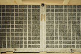 f0000211_2144264.jpg