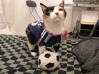 c0201113_2121287.jpg