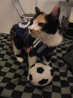 c0201113_2124642.jpg