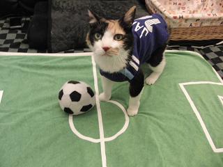 c0201113_2132450.jpg