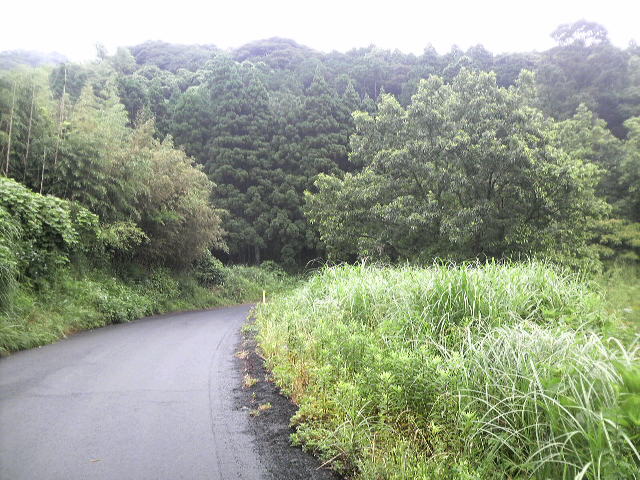 f0051814_19154933.jpg