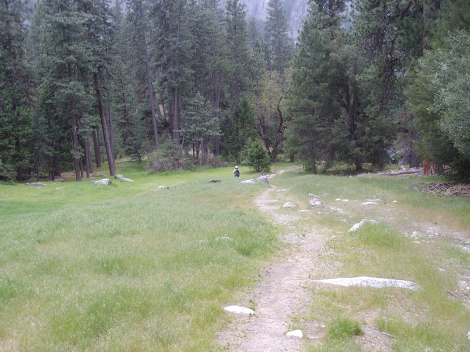 c0210618_193094.jpg