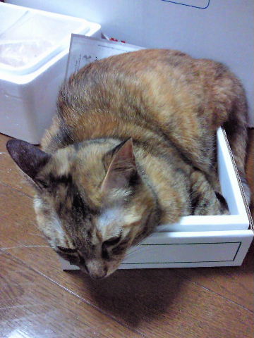 e0114823_2301730.jpg