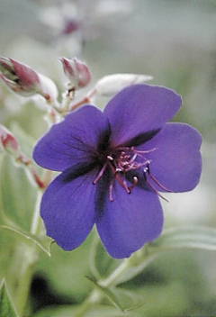 a0098027_16382279.jpg