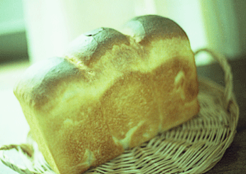 c0221827_1242987.gif