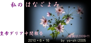 e0033229_20502737.jpg