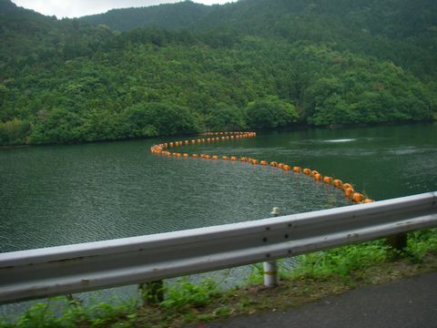 f0000330_15273053.jpg
