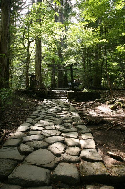 f0017530_2038119.jpg