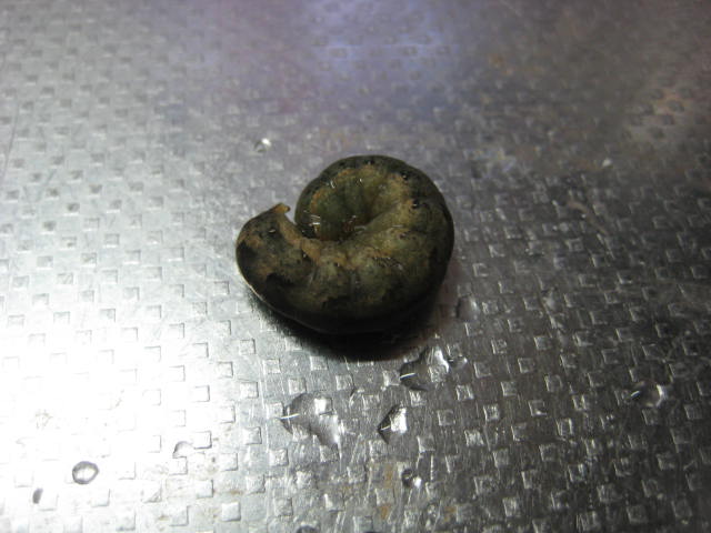 e0166032_21234487.jpg