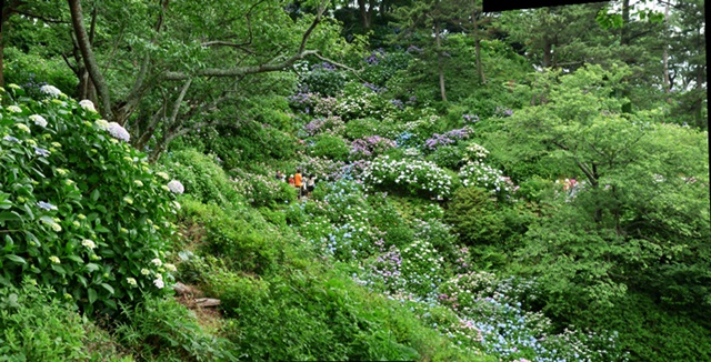 d0037233_10432461.jpg